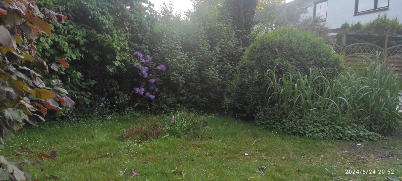 Lilli Flensburg Fewo Buitenkant foto